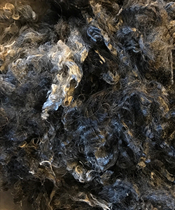 Fleeces - 1618