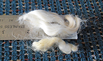 White Lincoln Locks