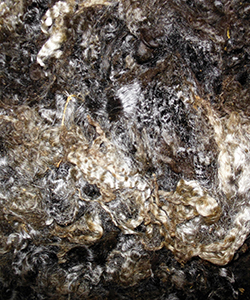 Wyncrest Fleeces