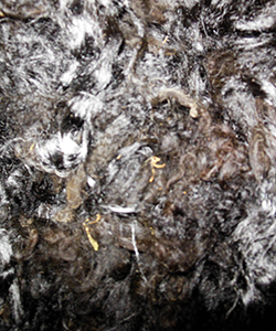 Wyncrest Fleeces