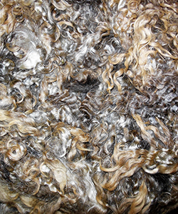 Fleeces
