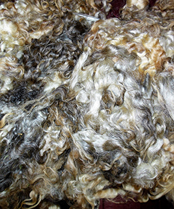 Fleeces