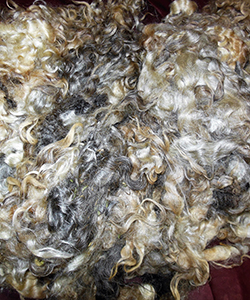 Fleeces