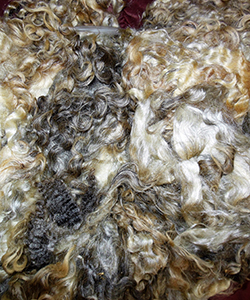 Fleeces