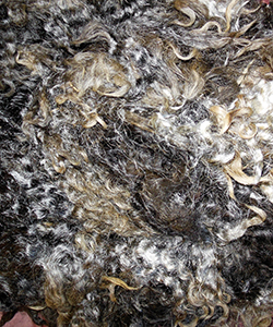 Fleeces