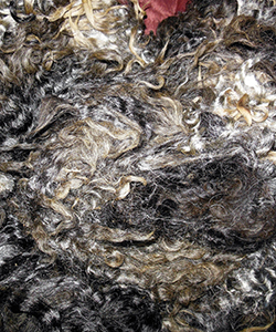 Fleeces