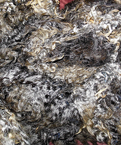 Fleeces