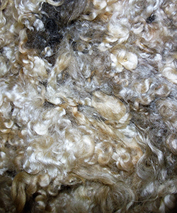 Fleeces