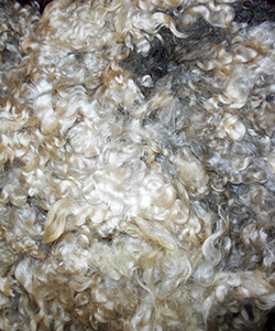 Fleeces