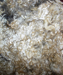 Fleeces