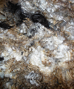 Fleeces