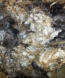 Fleeces