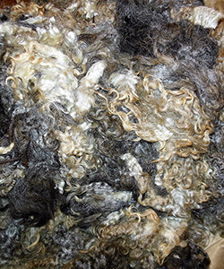 Fleeces