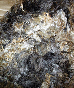 Fleeces
