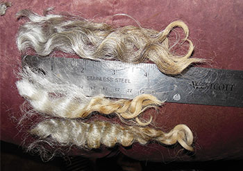 Fleece - 0459