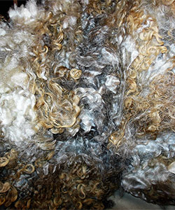Fleece - 0459