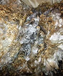 Fleece - 0459