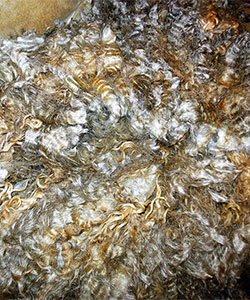 Fleece -13038