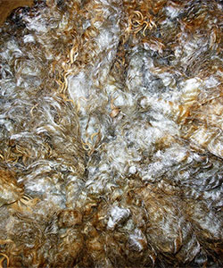 Fleece -13038