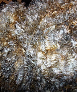 Fleece -13038