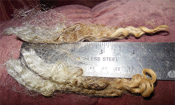 Fleeces - 13045