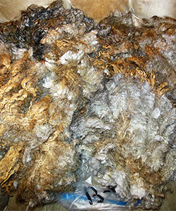Fleece - 13045
