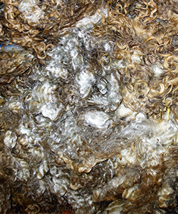 Fleeces