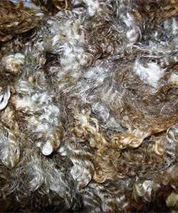 Fleeces