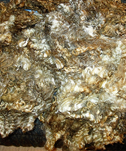 Fleeces