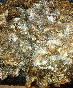 Fleeces