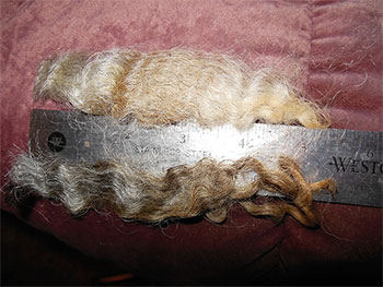 14-37 Fleece