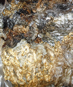 14-37  Fleece
