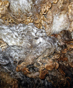 14-37  Fleece