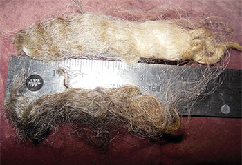 14-45 Fleece