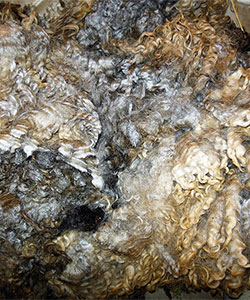 14-45 Fleece