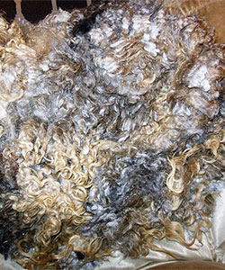 14-45 Fleece