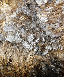 14-45 Fleece