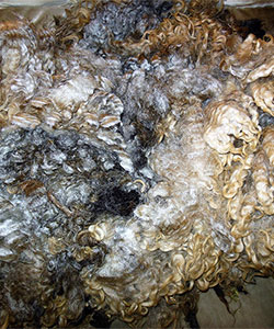 14-45 Fleece