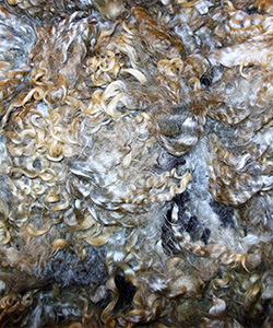 Fleece 15-20
