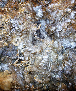 Fleece 15-20