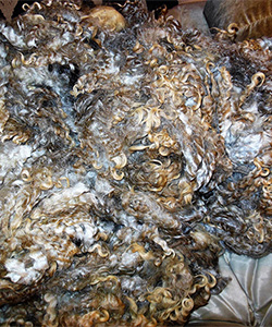 Fleece 15-20