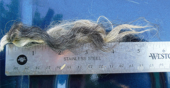 Fleece 1618