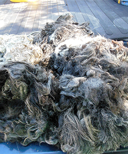 Fleece 1618