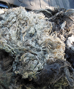 Fleece 1618