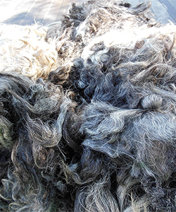 Fleece 1618
