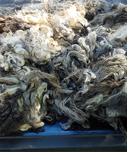 Fleece 1622