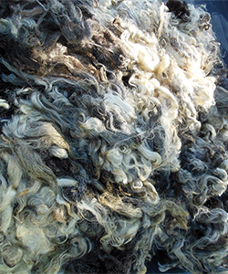 Fleece 1622