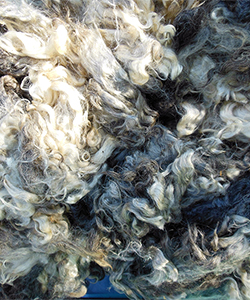 Fleece 1622