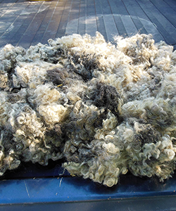 Fleece 16328