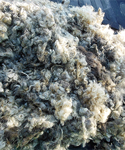Fleece 16328
